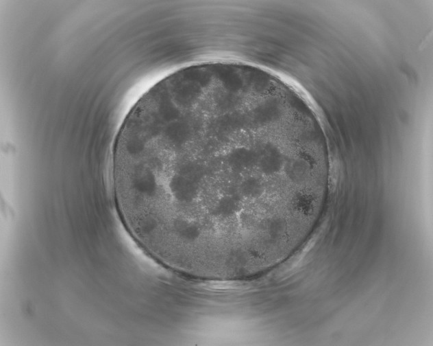 X0000091331295200708101419