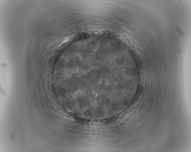 X0000091331297200708101418