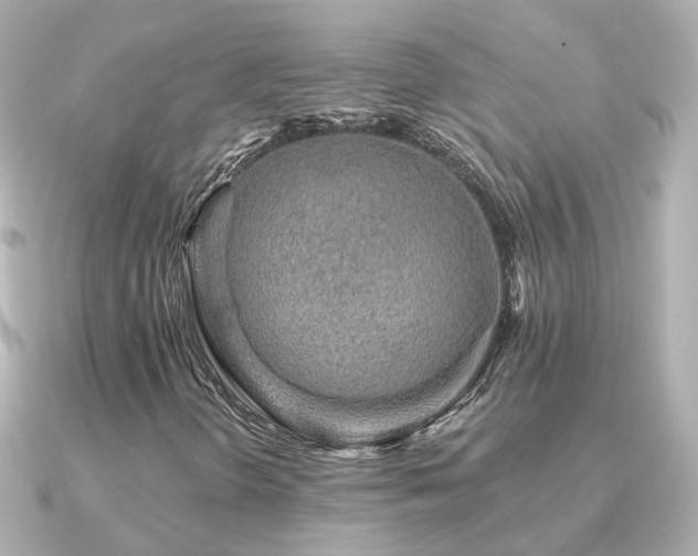 X0000091331298200708101418