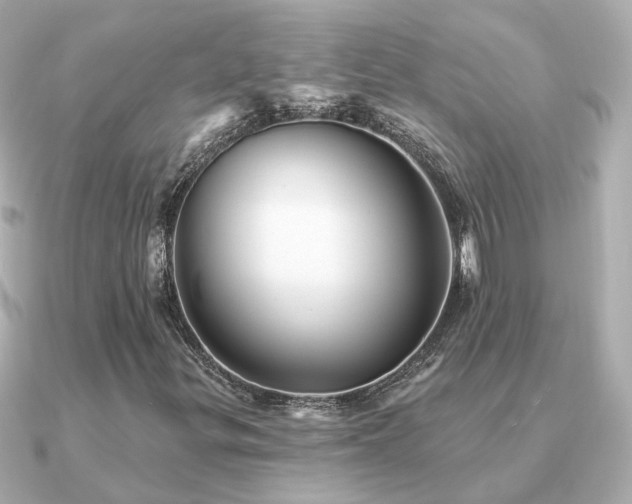 X0000091331299200708101418