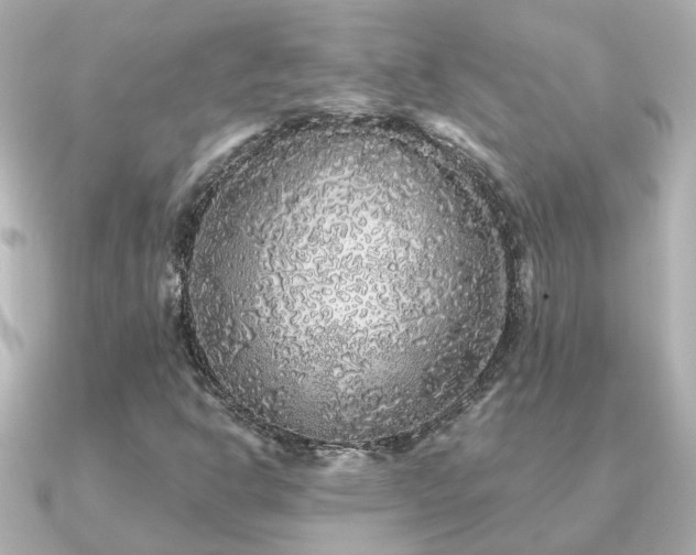X0000091331302200708101418