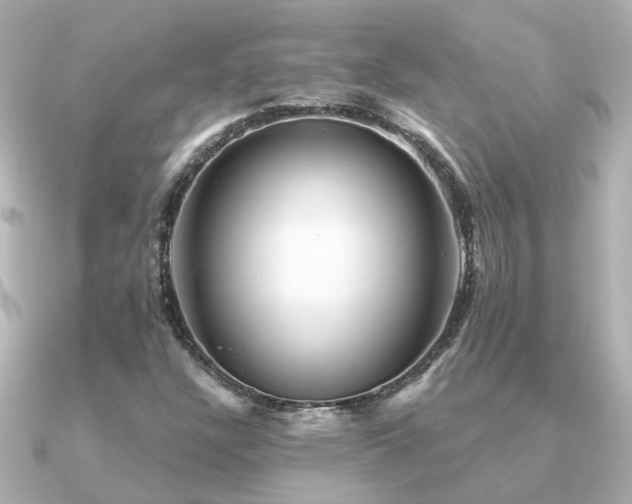 X0000091331304200708101418