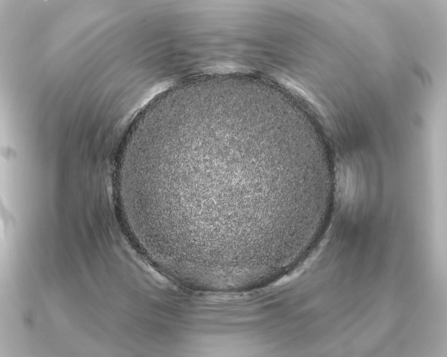 X0000091331305200708101419