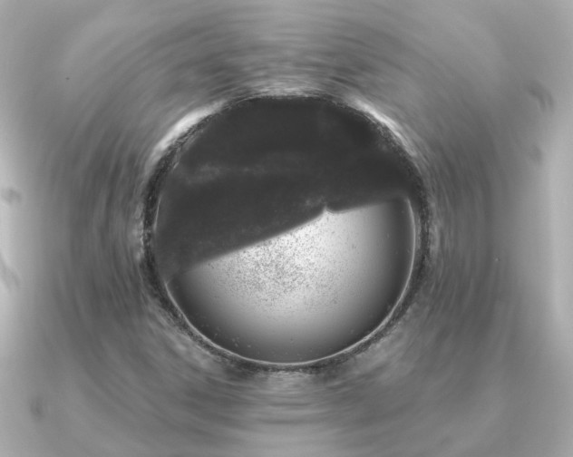 X0000091331306200708101419
