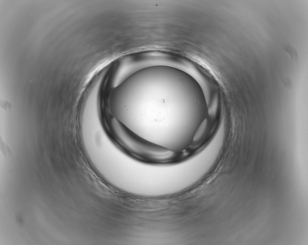 X0000091331308200708101419