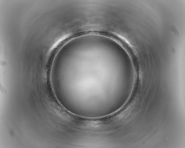 X0000091331309200708101419
