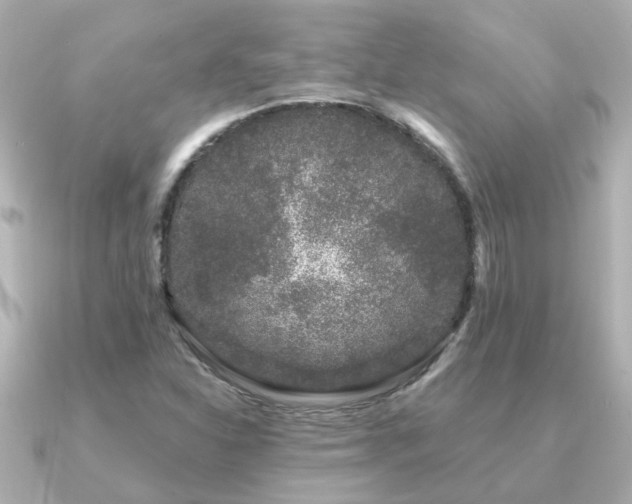 X0000091331310200708101419