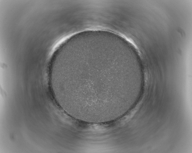X0000091331311200708101419