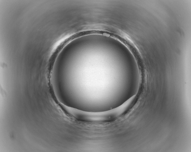 X0000091331312200708101419