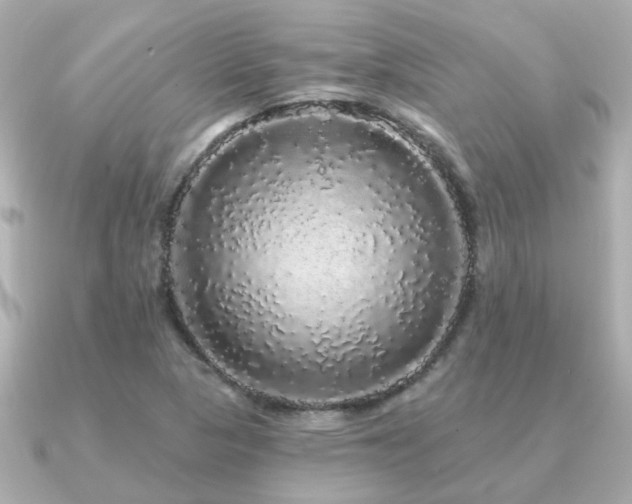 X0000091331313200708101419