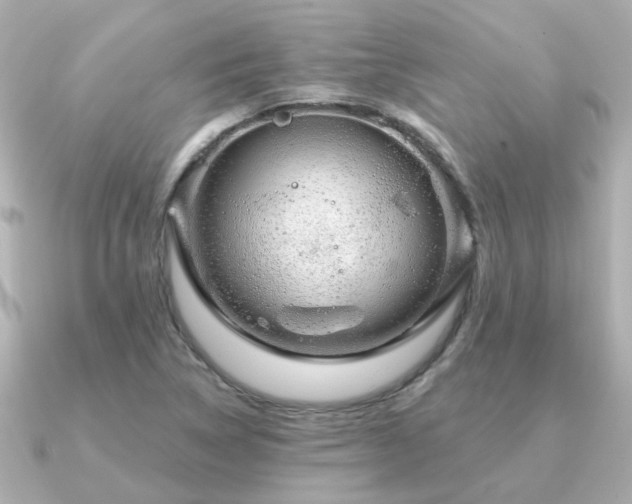X0000091331314200708101419