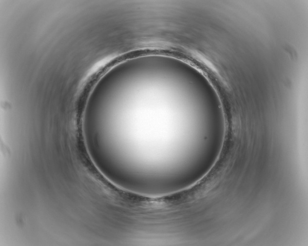 X0000091331315200708101419