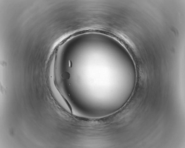 X0000091331316200708101419