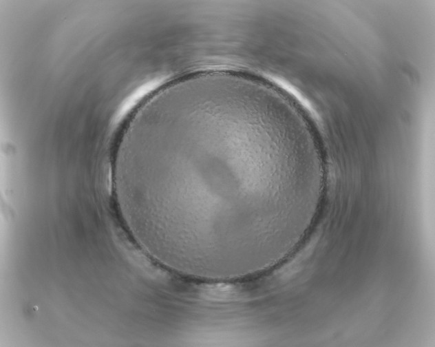 X0000091331317200708101419
