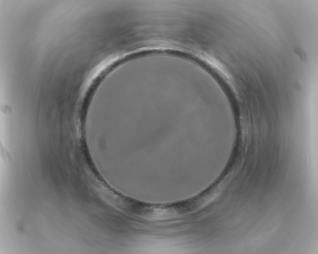 X0000091331318200708101419