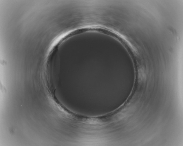 X0000091331319200708101419