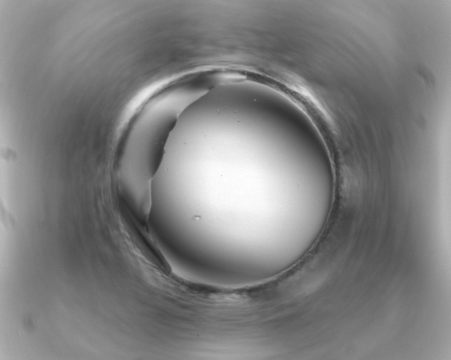 X0000091331320200708101419