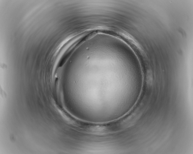 X0000091331321200708101419