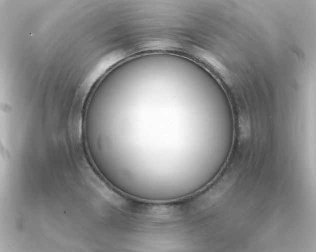 X0000091331322200708101419