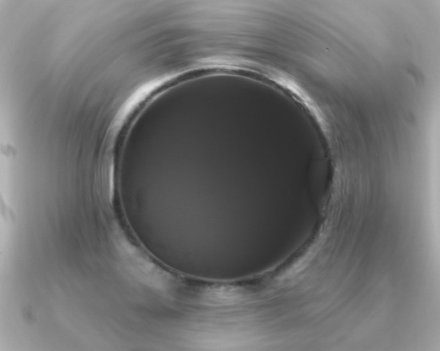 X0000091331323200708101419