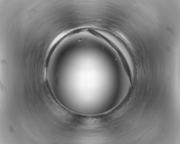 X0000091331324200708101419