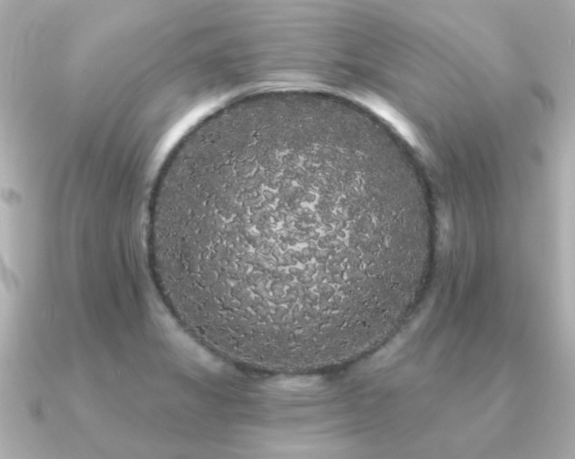 X0000091331325200708101419
