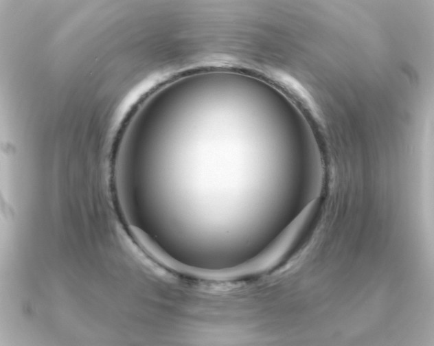 X0000091331326200708101419