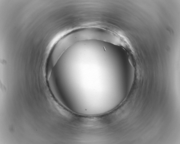 X0000091331328200708101419