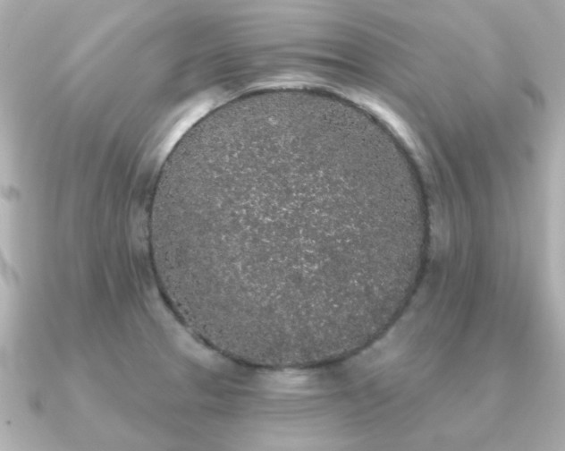 X0000091331329200708101419
