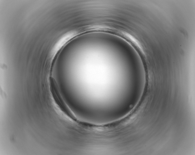 X0000091331330200708101419