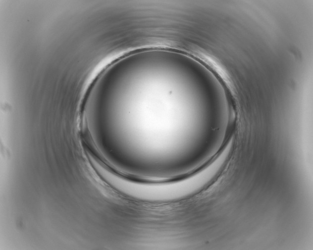 X0000091331332200708101419