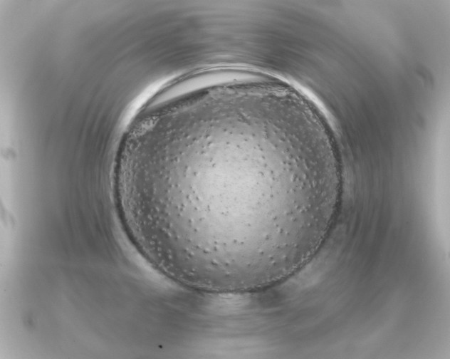 X0000091331333200708101419