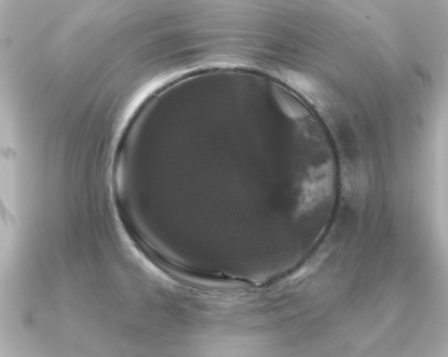 X0000091331334200708101419