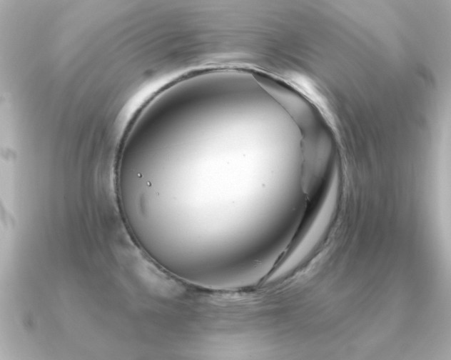X0000091331336200708101419
