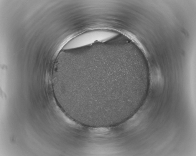 X0000091331337200708101419