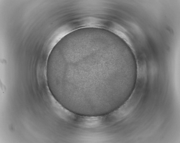 X0000091331338200708101419