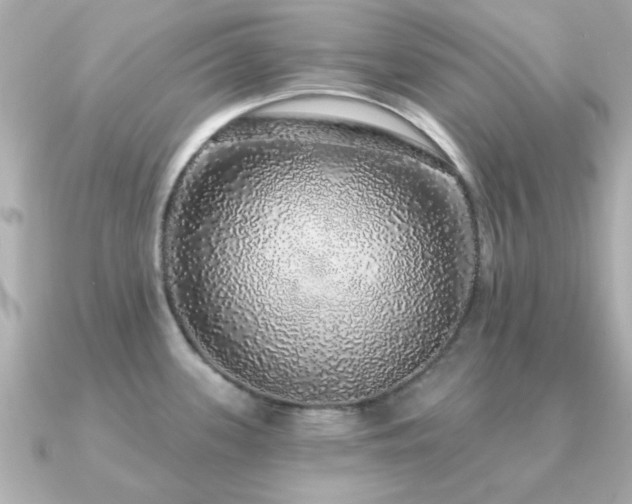 X0000091331339200708101419