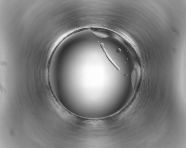 X0000091331340200708101419