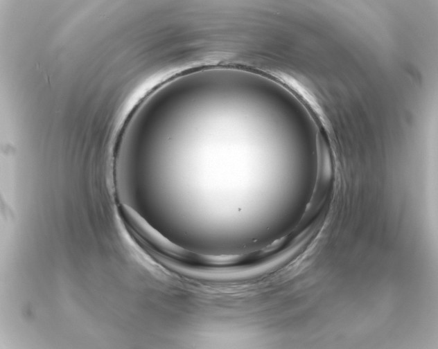 X0000091331342200708101419