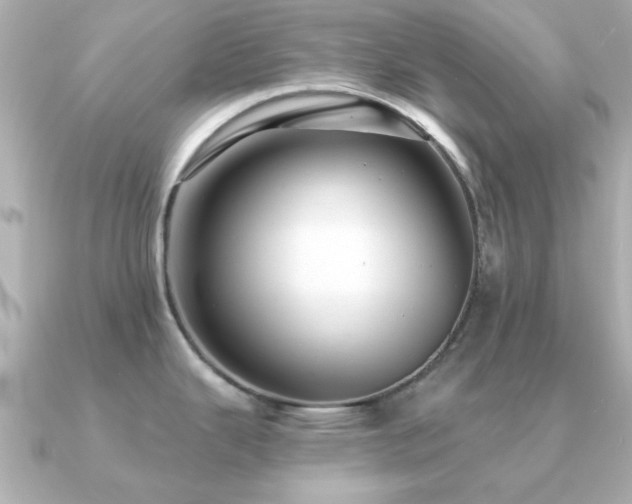 X0000091331343200708101419