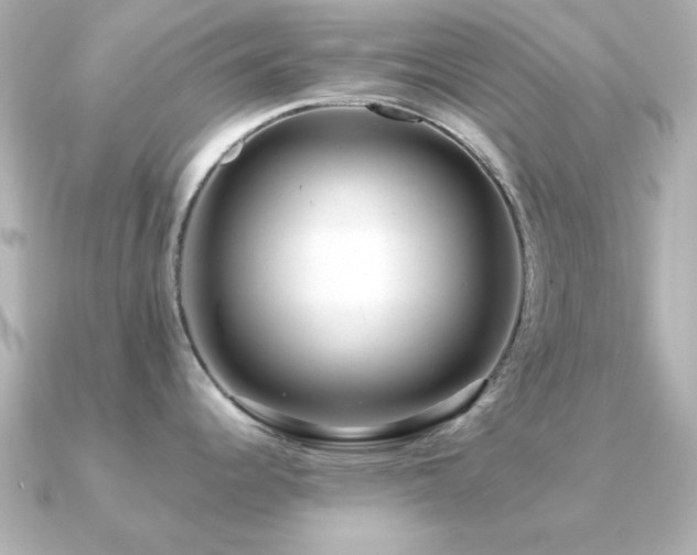 X0000091331344200708101419