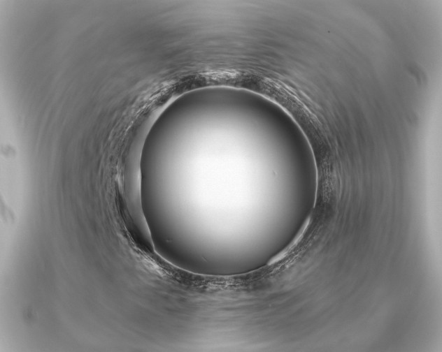 X0000091331345200708101418