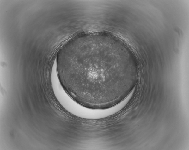 X0000091331348200708101418