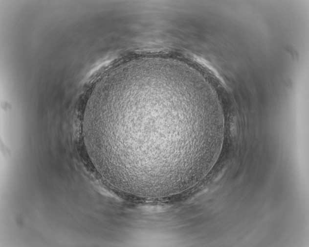 X0000091331350200708101418