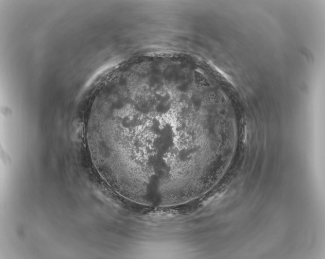 X0000091331351200708101418