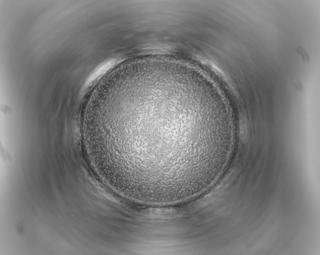 X0000091331354200708101418