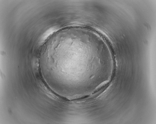 X0000091331355200708101418
