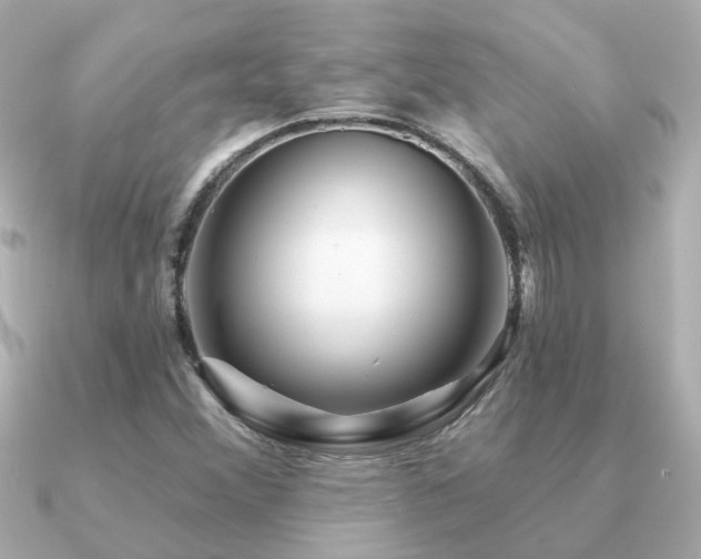 X0000091331356200708101418