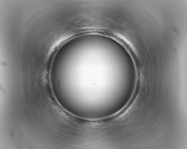 X0000091331357200708101418