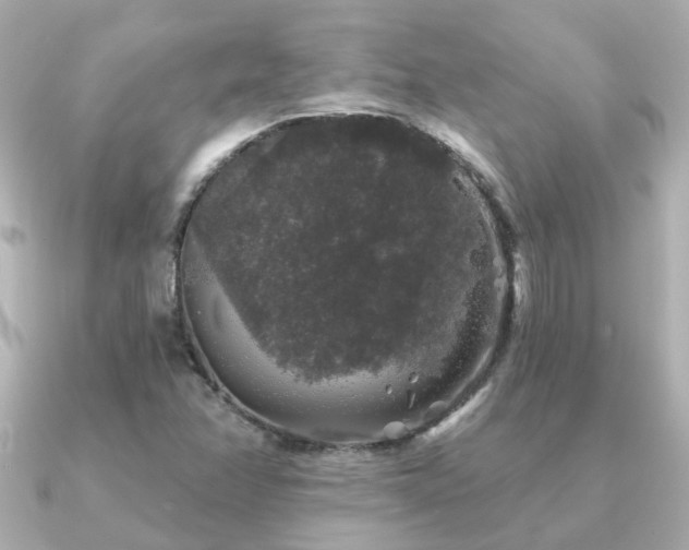 X0000091331358200708101418